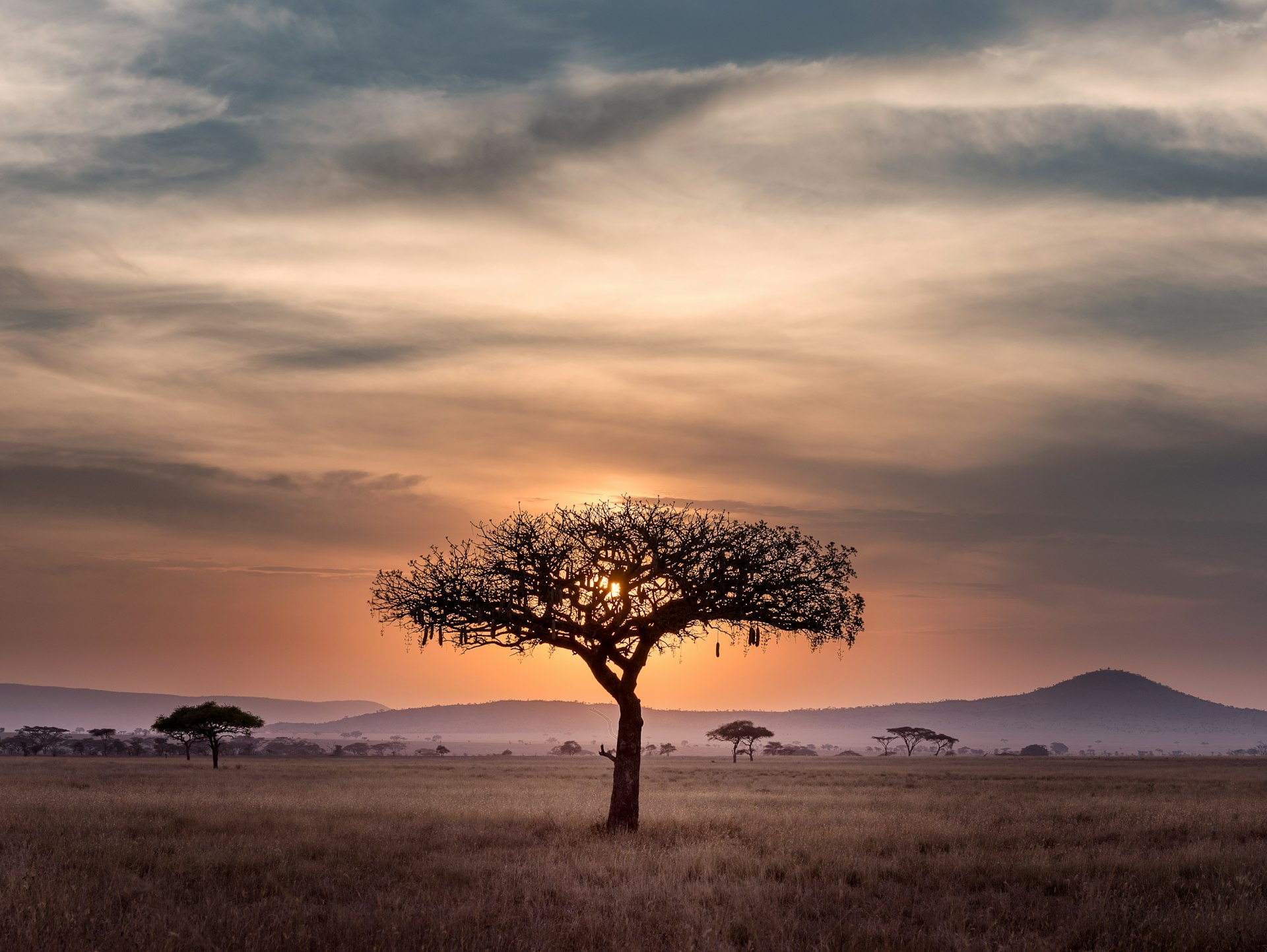 Scenic Uganda road for travel and hire services